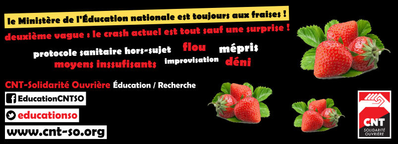 cnt_so_educ_ministere_2e_vague_t.png