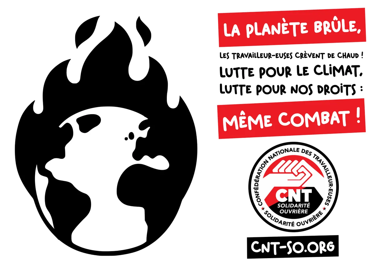 Comment ALDI détruit la planète !